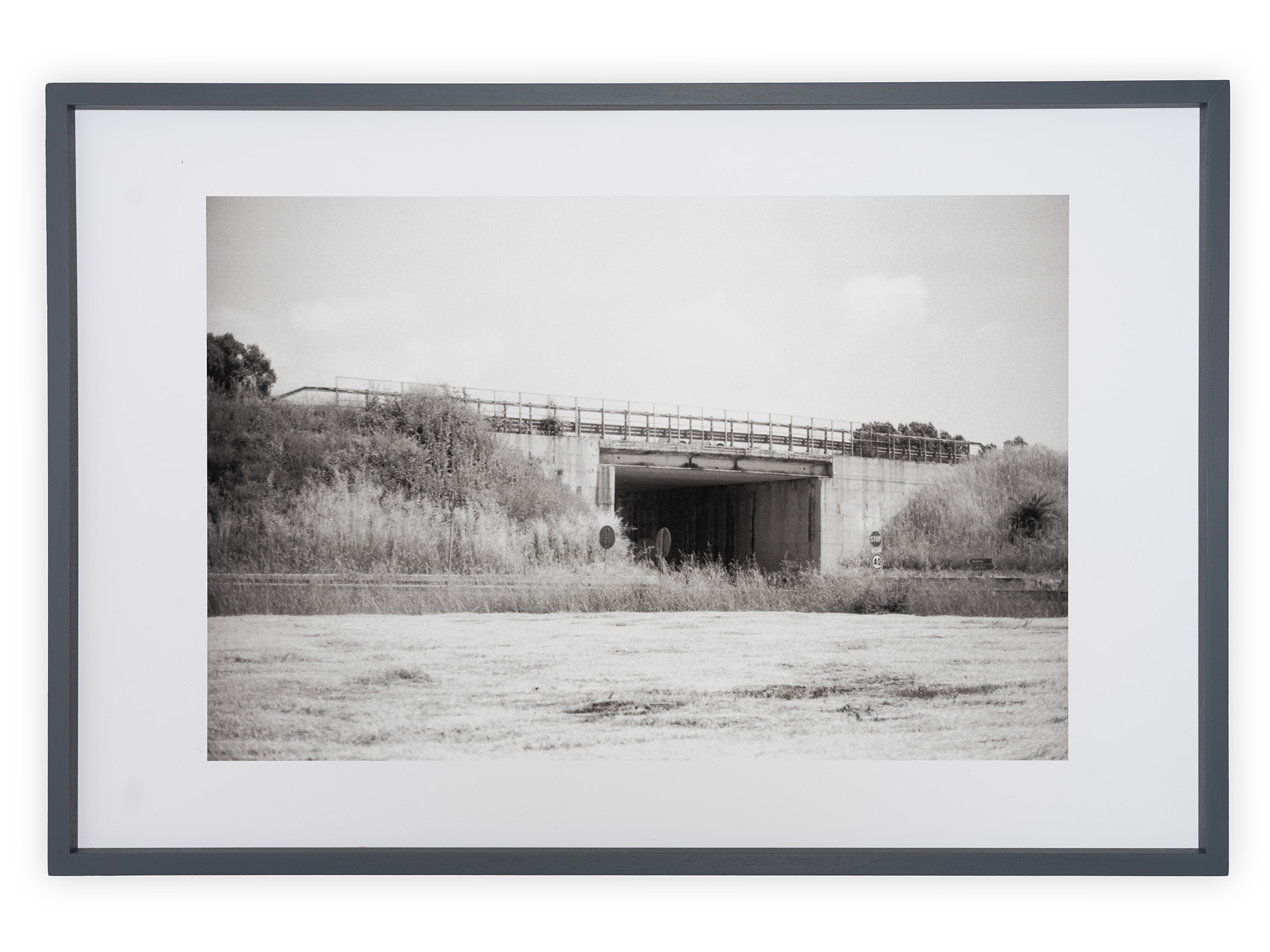 Cornice in mostra, immagine 4