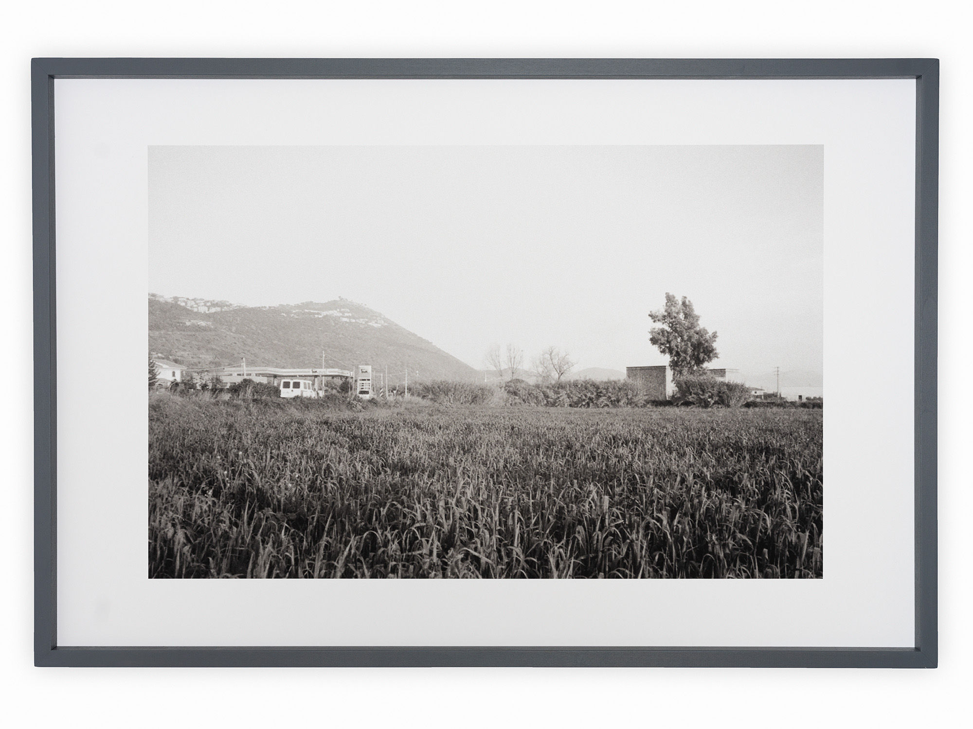 Cornice in mostra, immagine 6