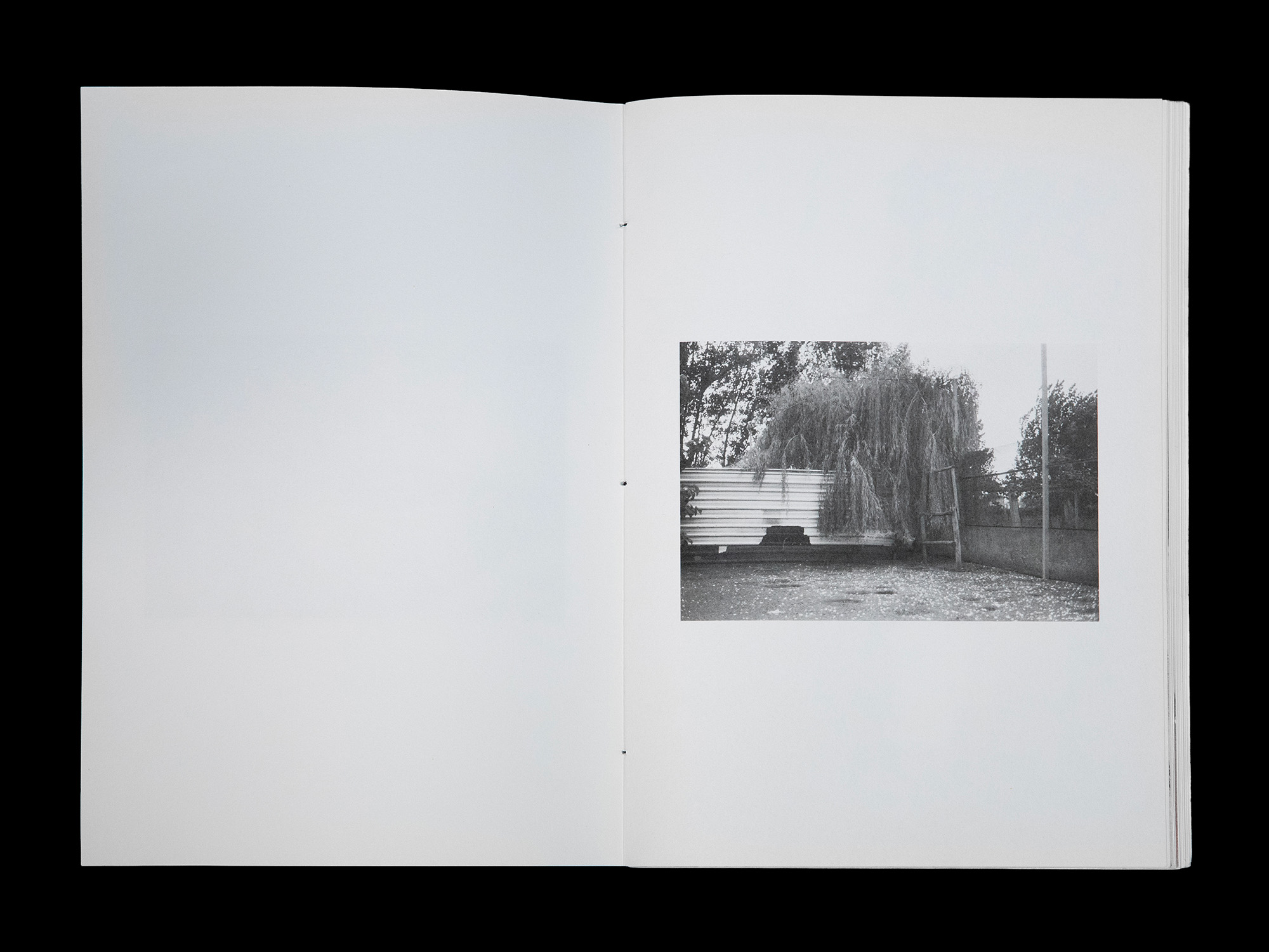 Dummy della rivista, interno 2
